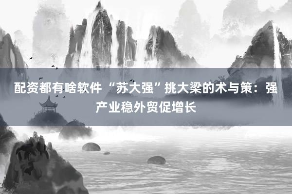 配资都有啥软件 “苏大强”挑大梁的术与策：强产业稳外贸促增长