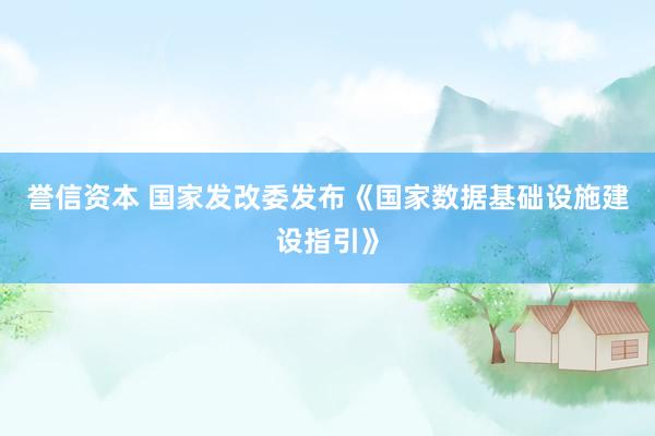 誉信资本 国家发改委发布《国家数据基础设施建设指引》