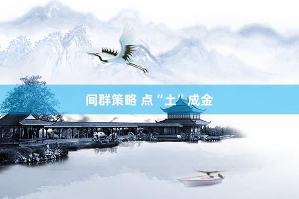 间群策略 点“土”成金