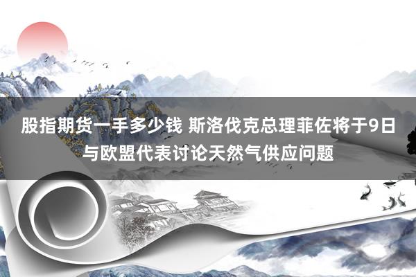 股指期货一手多少钱 斯洛伐克总理菲佐将于9日与欧盟代表讨论天然气供应问题