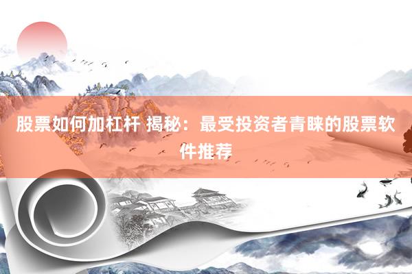 股票如何加杠杆 揭秘：最受投资者青睐的股票软件推荐