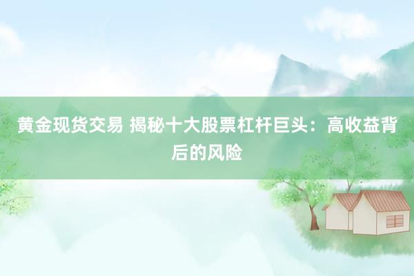 黄金现货交易 揭秘十大股票杠杆巨头：高收益背后的风险