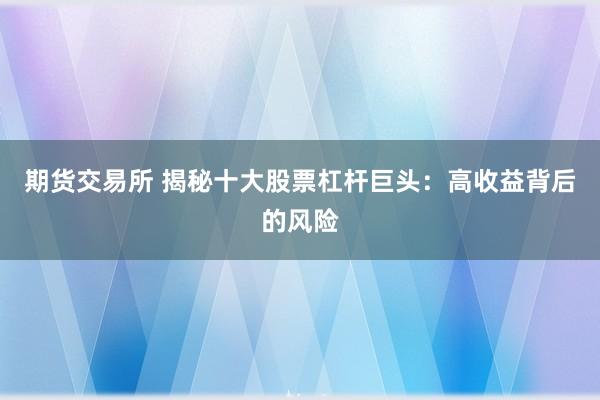 期货交易所 揭秘十大股票杠杆巨头：高收益背后的风险