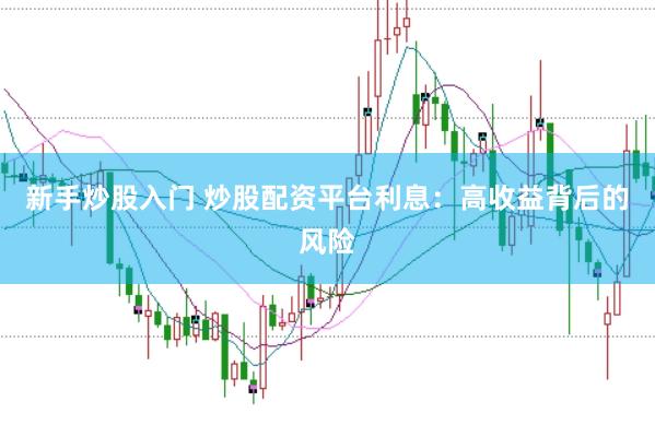 新手炒股入门 炒股配资平台利息：高收益背后的风险