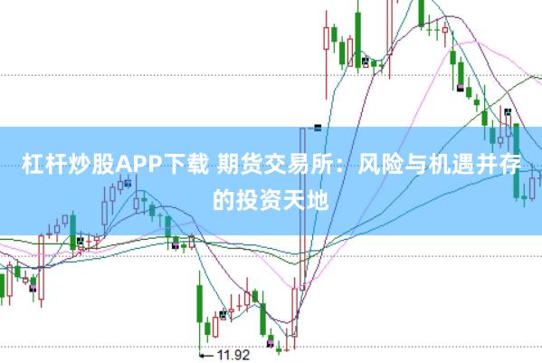 杠杆炒股APP下载 期货交易所：风险与机遇并存的投资天地