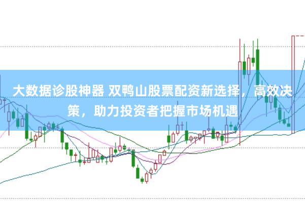 大数据诊股神器 双鸭山股票配资新选择，高效决策，助力投资者把握市场机遇
