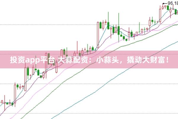投资app平台 大蒜配资：小蒜头，撬动大财富！
