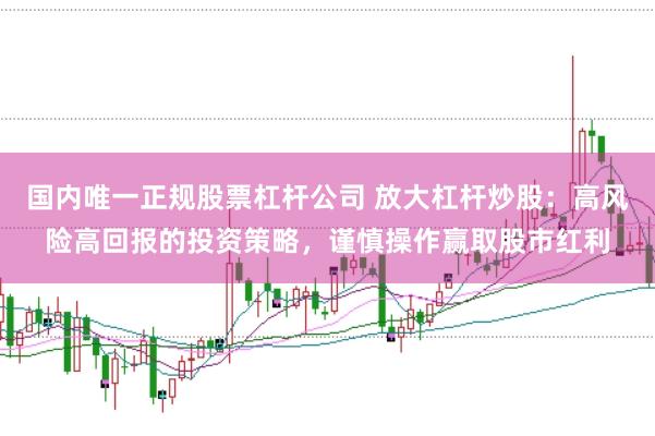 国内唯一正规股票杠杆公司 放大杠杆炒股：高风险高回报的投资策略，谨慎操作赢取股市红利