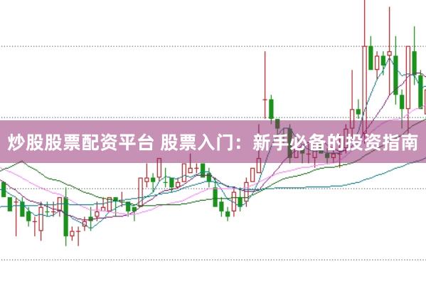 炒股股票配资平台 股票入门：新手必备的投资指南