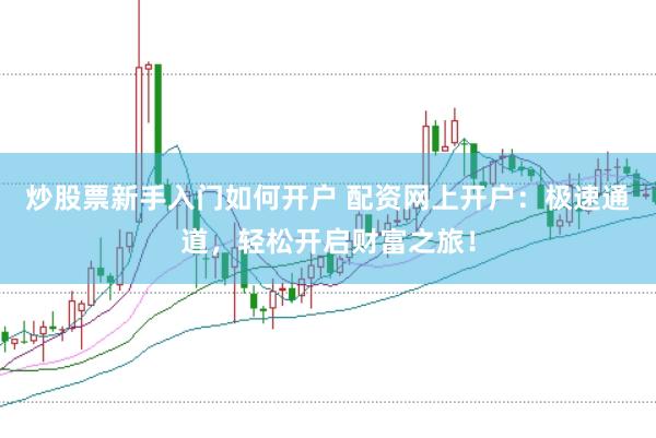 炒股票新手入门如何开户 配资网上开户：极速通道，轻松开启财富之旅！