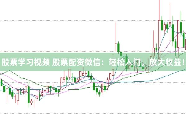 股票学习视频 股票配资微信：轻松入门，放大收益！