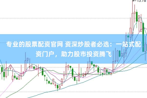 专业的股票配资官网 资深炒股者必选：一站式配资门户，助力股市投资腾飞
