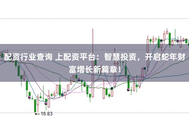 配资行业查询 上配资平台：智慧投资，开启蛇年财富增长新篇章！
