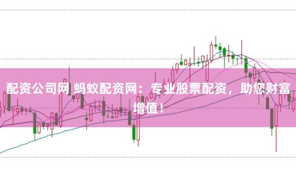 配资公司网 蚂蚁配资网：专业股票配资，助您财富增值！