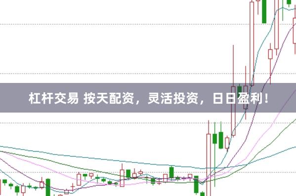 杠杆交易 按天配资，灵活投资，日日盈利！
