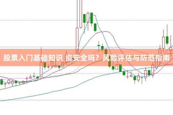 股票入门基础知识 资安全吗？风险评估与防范指南