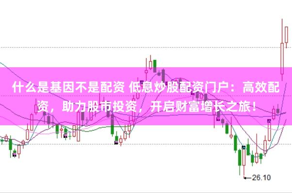 什么是基因不是配资 低息炒股配资门户：高效配资，助力股市投资，开启财富增长之旅！