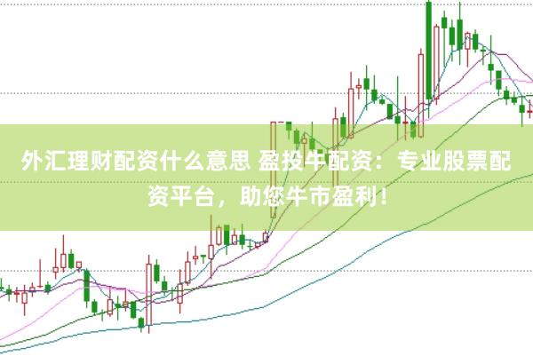 外汇理财配资什么意思 盈投牛配资：专业股票配资平台，助您牛市盈利！