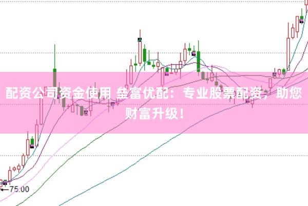 配资公司资金使用 垒富优配：专业股票配资，助您财富升级！