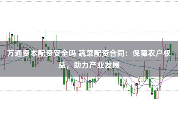 万通资本配资安全吗 蔬菜配资合同：保障农户权益，助力产业发展