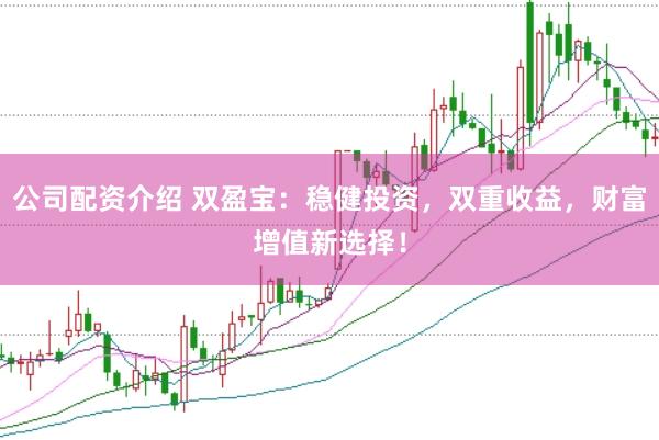 公司配资介绍 双盈宝：稳健投资，双重收益，财富增值新选择！