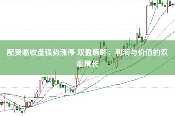 配资临收盘强势涨停 双盈策略：利润与价值的双重增长