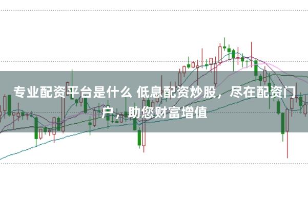 专业配资平台是什么 低息配资炒股，尽在配资门户，助您财富增值