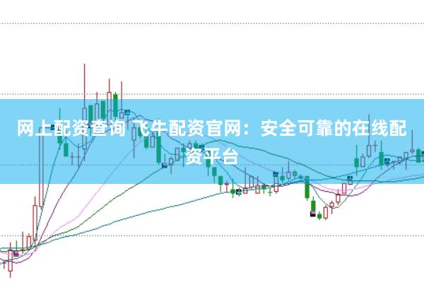 网上配资查询 飞牛配资官网：安全可靠的在线配资平台