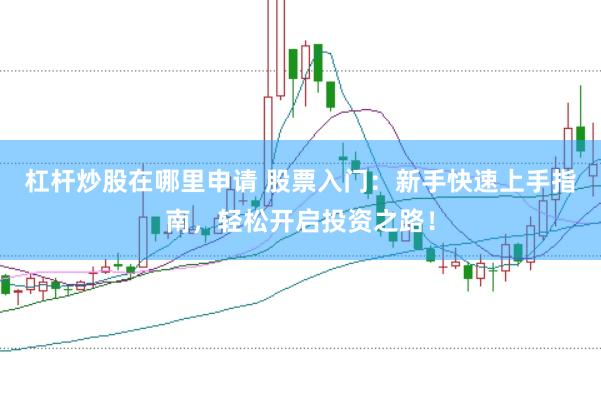 杠杆炒股在哪里申请 股票入门：新手快速上手指南，轻松开启投资之路！