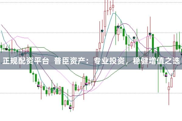 正规配资平台  普臣资产：专业投资，稳健增值之选