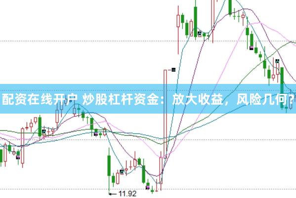 配资在线开户 炒股杠杆资金:放大收益,风险几何?