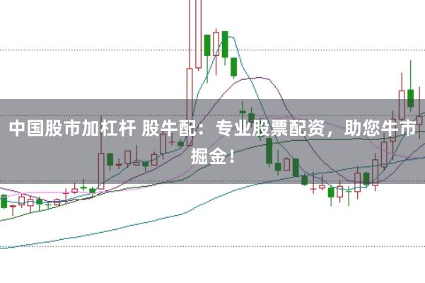 中国股市加杠杆 股牛配:专业股票配资,助您牛市掘金!