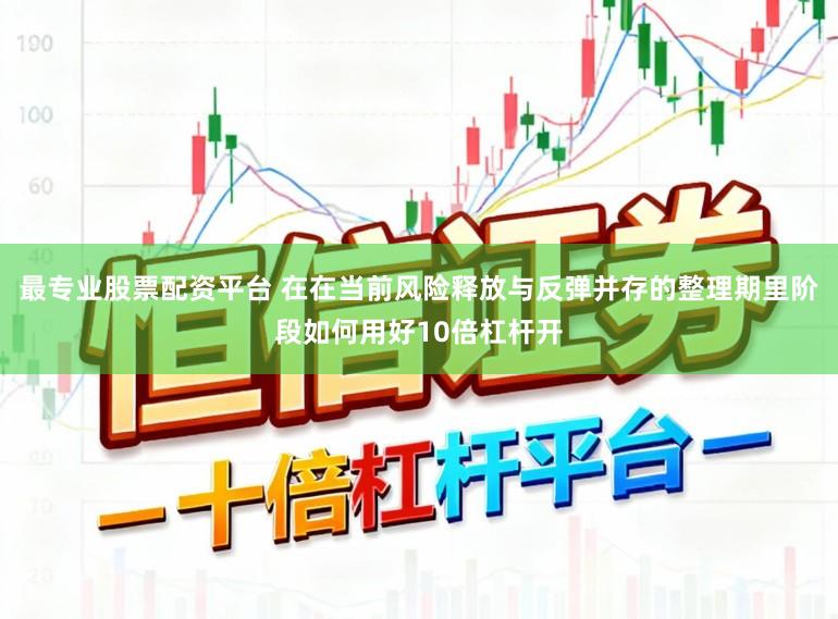 最专业股票配资平台 在在当前风险释放与反弹并存的整理期里阶段如何用好10倍杠杆开
