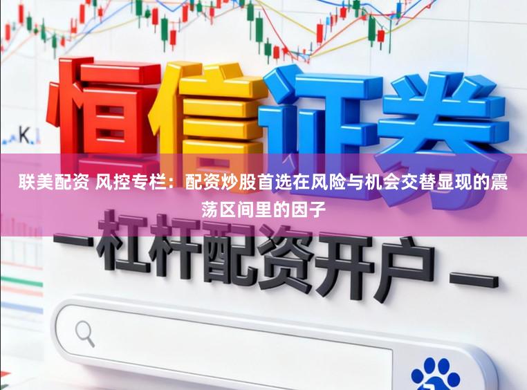 联美配资 风控专栏：配资炒股首选在风险与机会交替显现的震荡区间里的因子