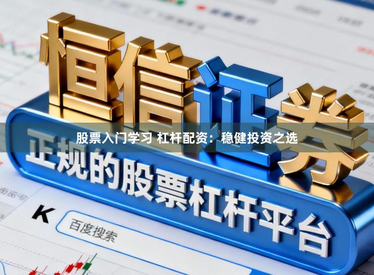 股票入门学习 杠杆配资：稳健投资之选