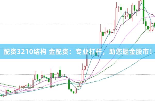 配资3210结构 金配资：专业杠杆，助您掘金股市！